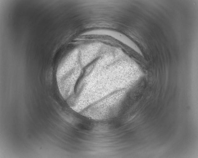 X0000074220206200609222016