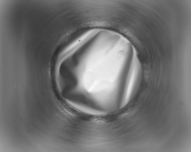 X0000074220207200609222016