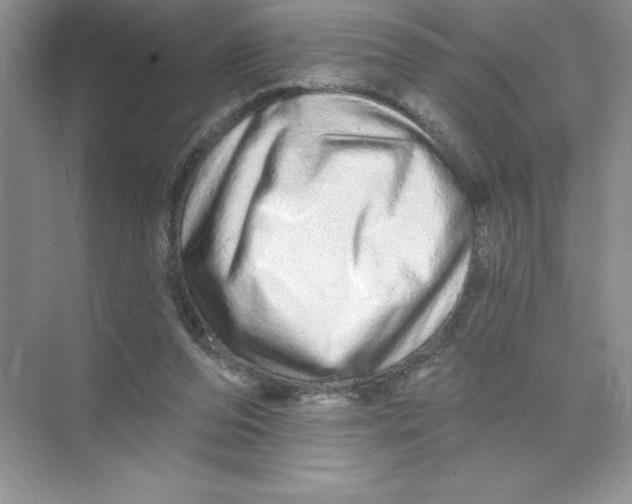 X0000074220208200609222016