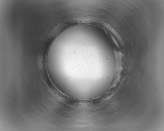 X0000074220209200609222016