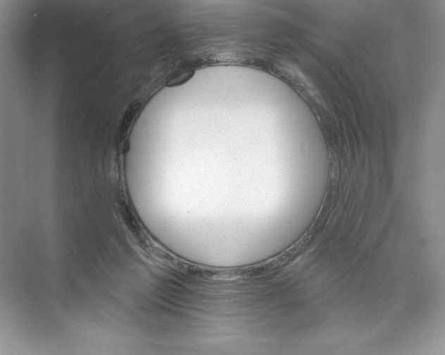 X0000074220213200609222016