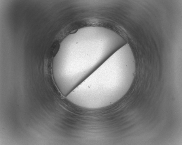 X0000074220217200609222016