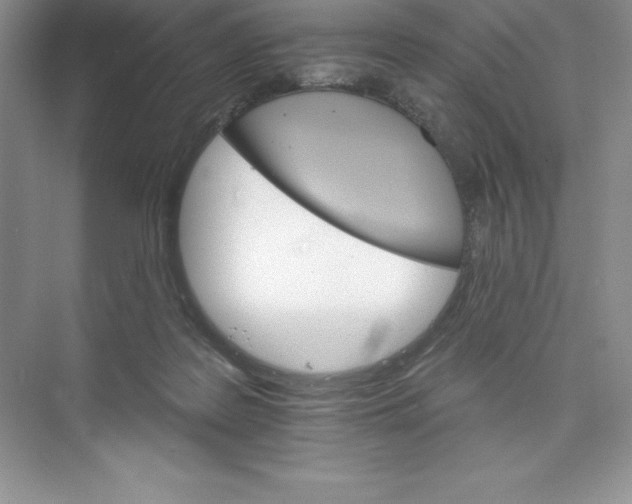 X0000074220219200609222016