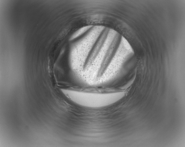 X0000074220224200609222015