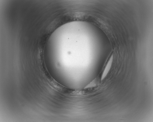 X0000074220225200609222015