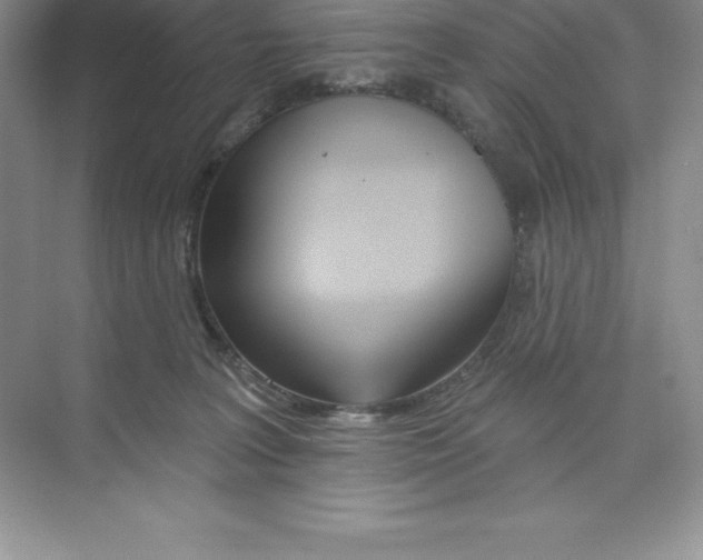 X0000074220227200609222015