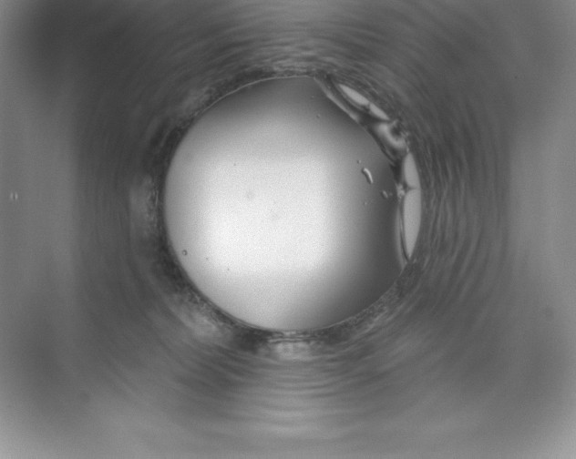 X0000074220228200609222015