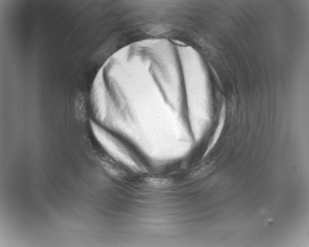 X0000074220234200609222015