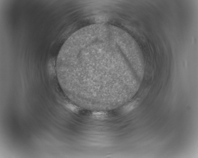 X0000074220240200609222015