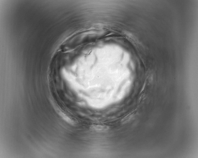 X0000074220242200609222014