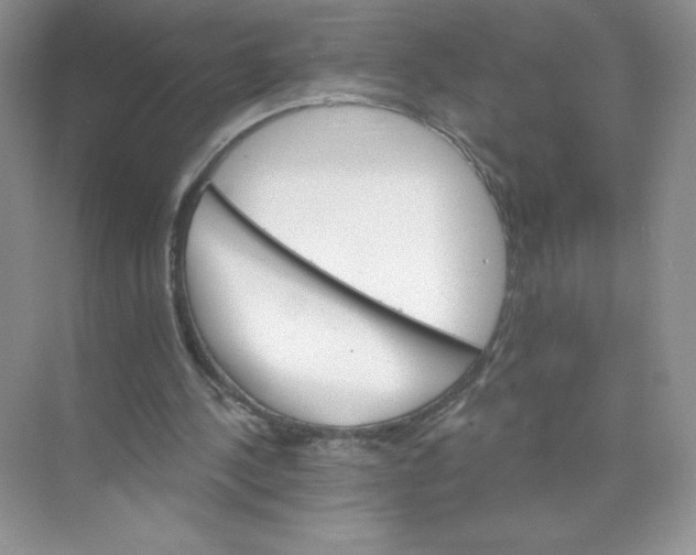 X0000074220244200609222014