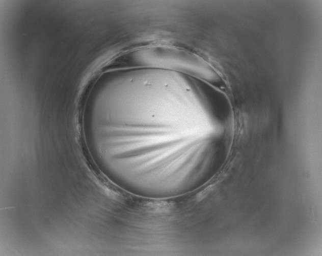 X0000074220245200609222014