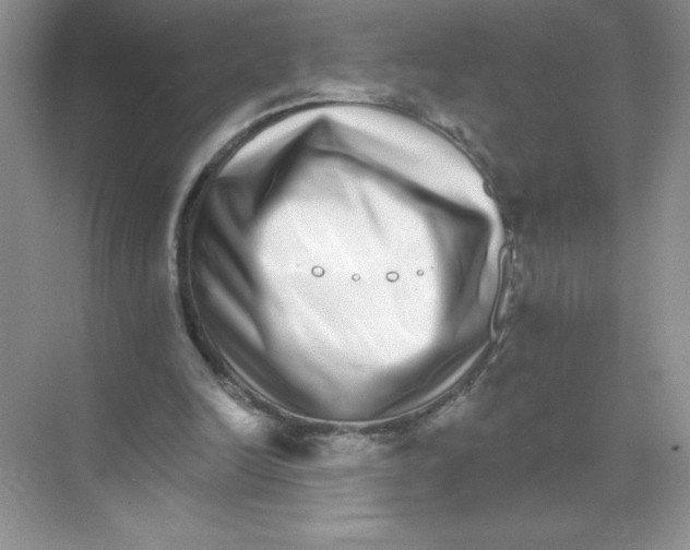 X0000074220246200609222014