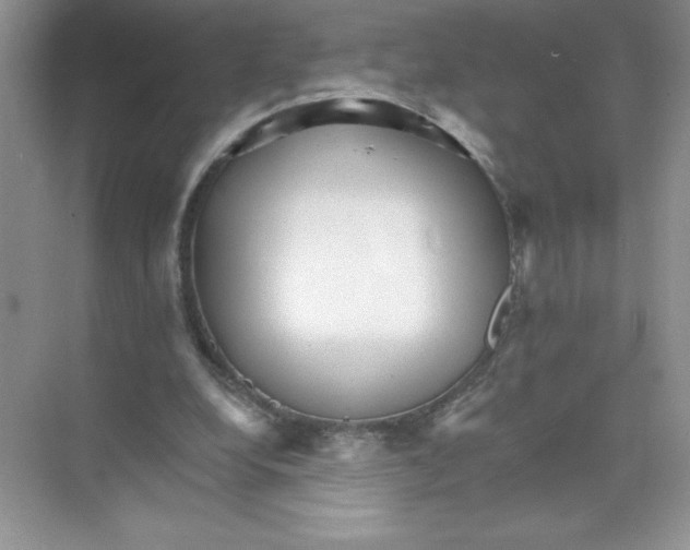 X0000074220248200609222015