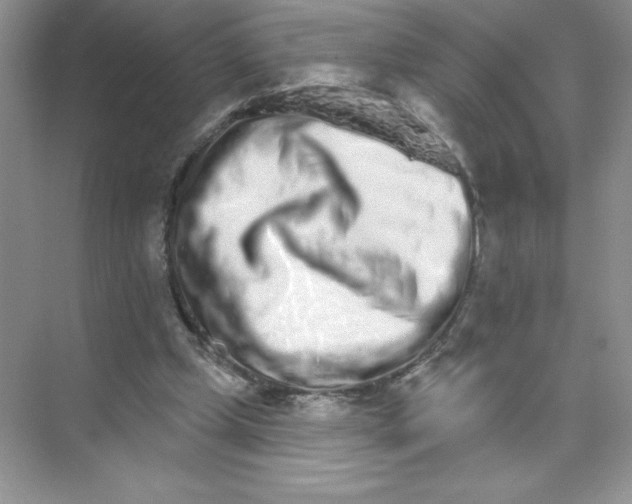 X0000074220249200609222015