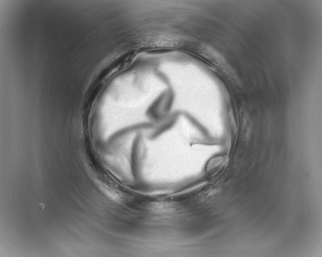 X0000074220250200609222015