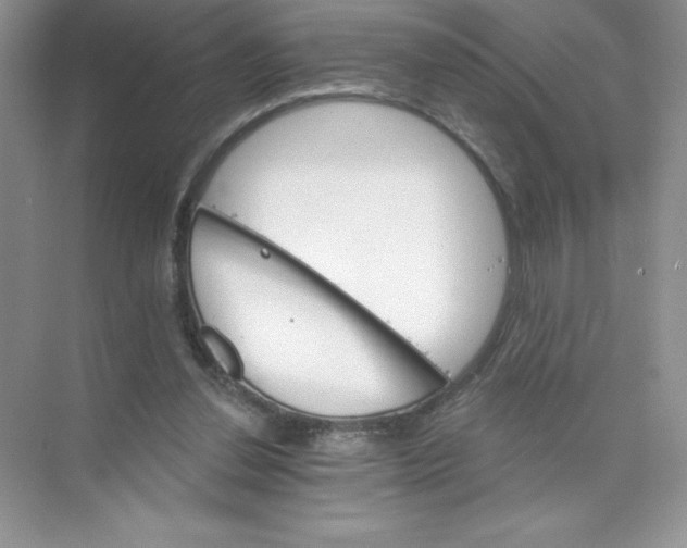 X0000074220252200609222015