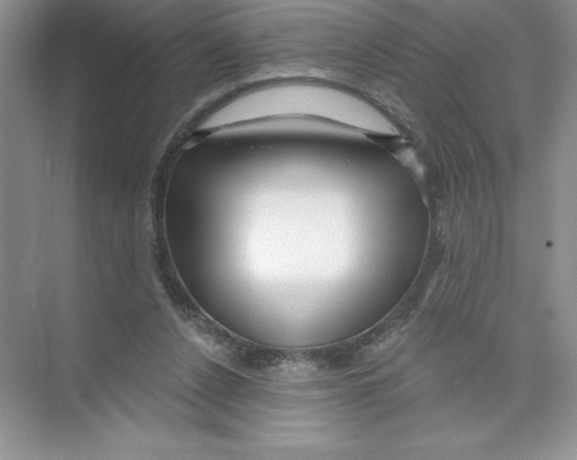 X0000074220256200609222015