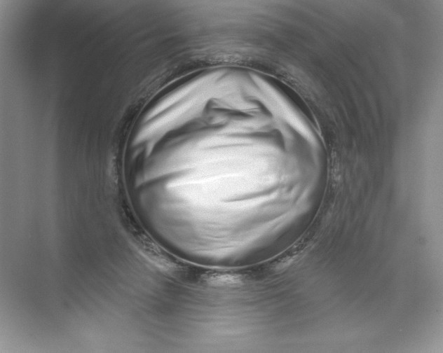 X0000074220258200609222015