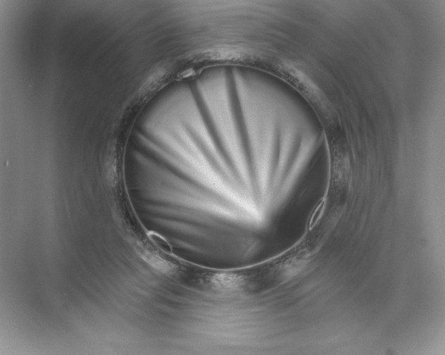 X0000074220261200609222015