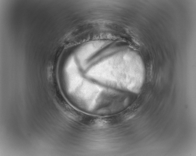 X0000074220263200609222015