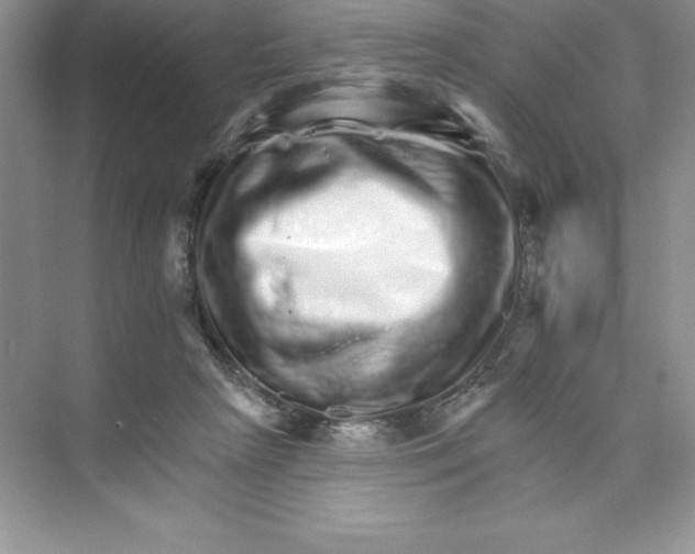 X0000074220265200609222015