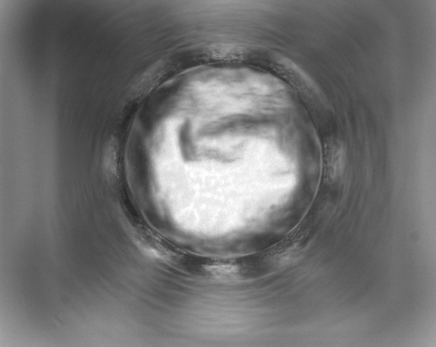 X0000074220266200609222015