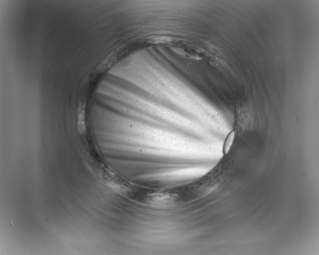 X0000074220267200609222015
