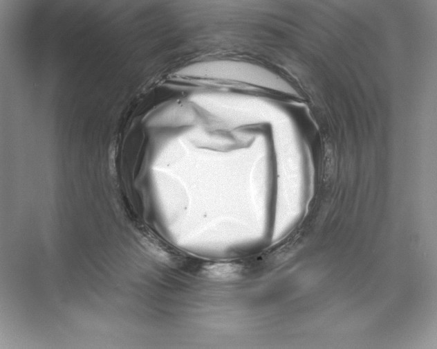 X0000074220269200609222015