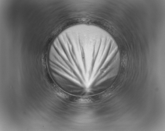 X0000074220270200609222015