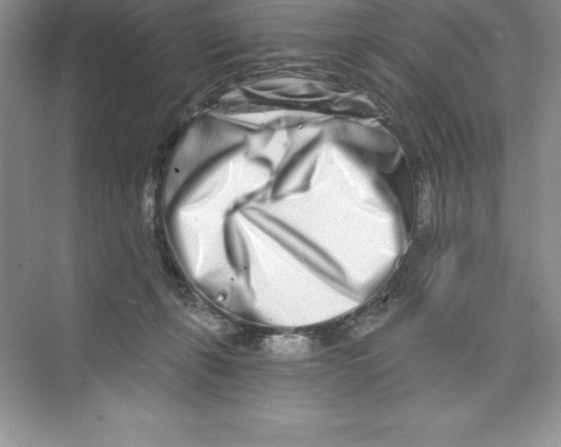 X0000074220271200609222015