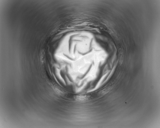 X0000074220273200609222015