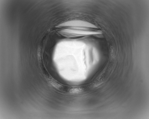 X0000074220274200609222015