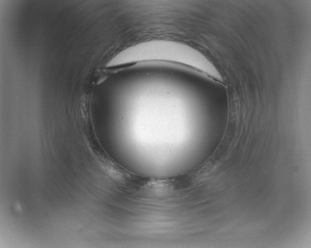 X0000074220280200609222015