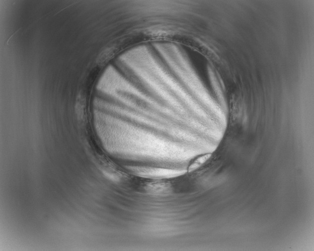 X0000074220283200609222015