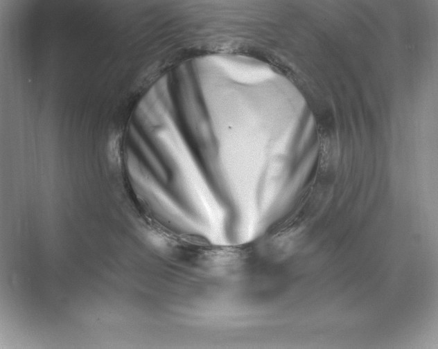 X0000074220286200609222015