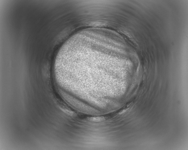 X0000074220303200609222014