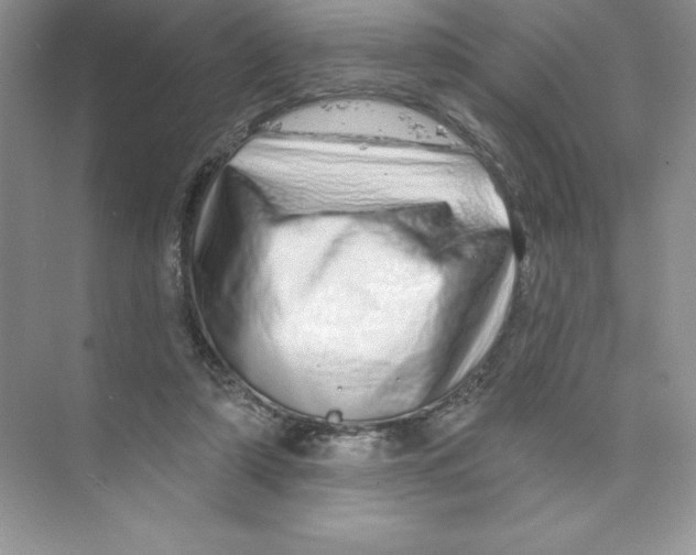 X0000074220306200609222014