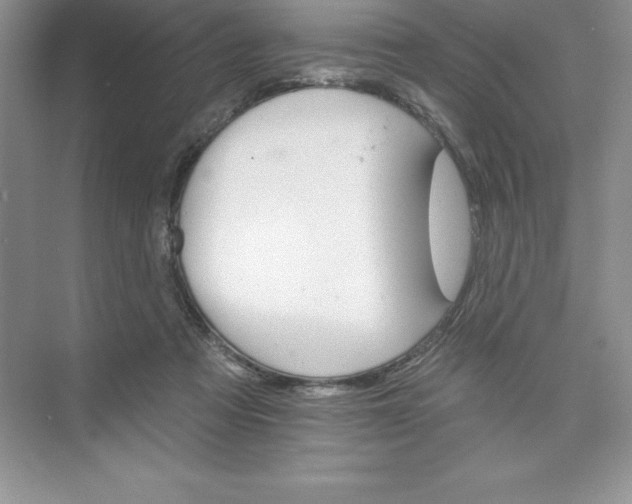 X0000074220313200609222014