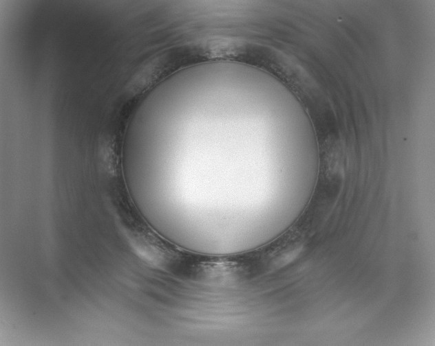 X0000074220316200609222014