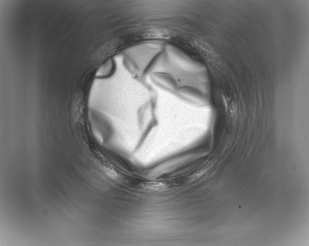 X0000074220322200609222014