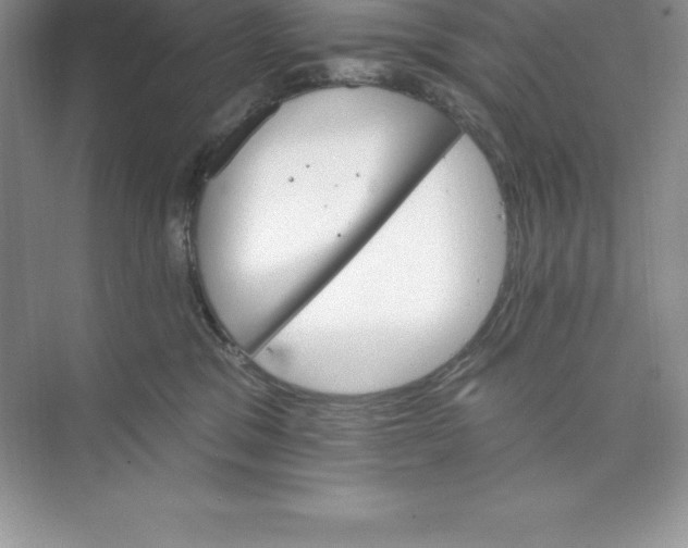 X0000074220329200609222014