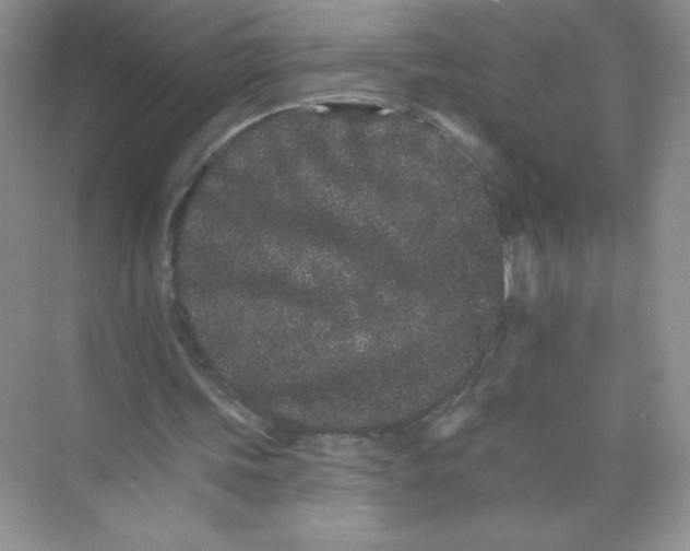 X0000074220339200609222013