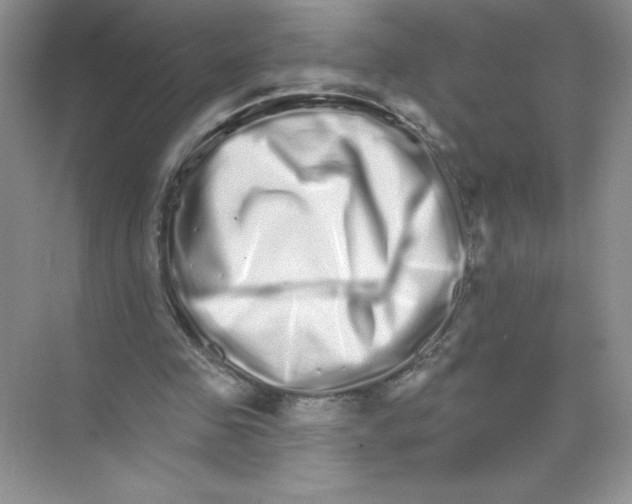 X0000074220341200609222013