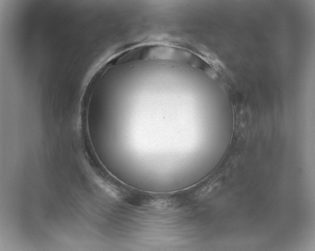 X0000074220344200609222013