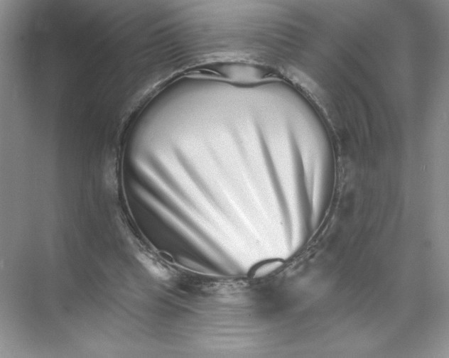 X0000074220345200609222013