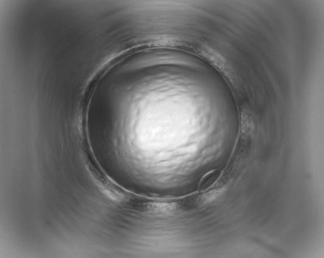 X0000074220347200609222013