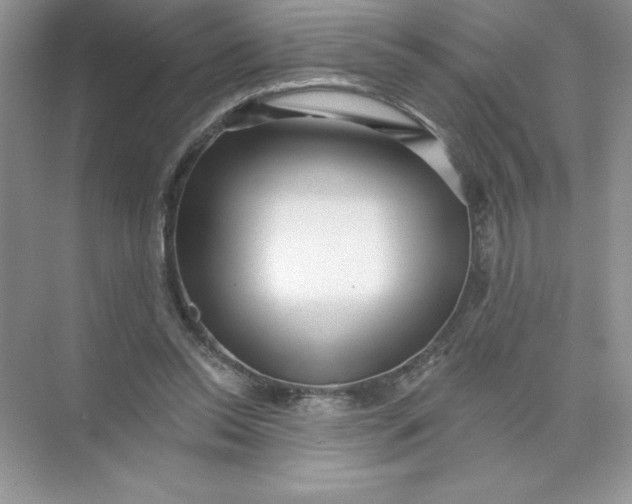 X0000074220350200609222013