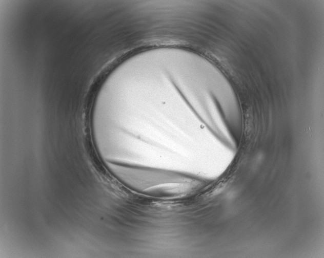 X0000074220351200609222013