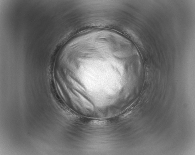 X0000074220354200609222013